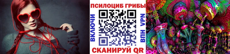 Псилоцибиновые грибы прущие грибы  Донецк 